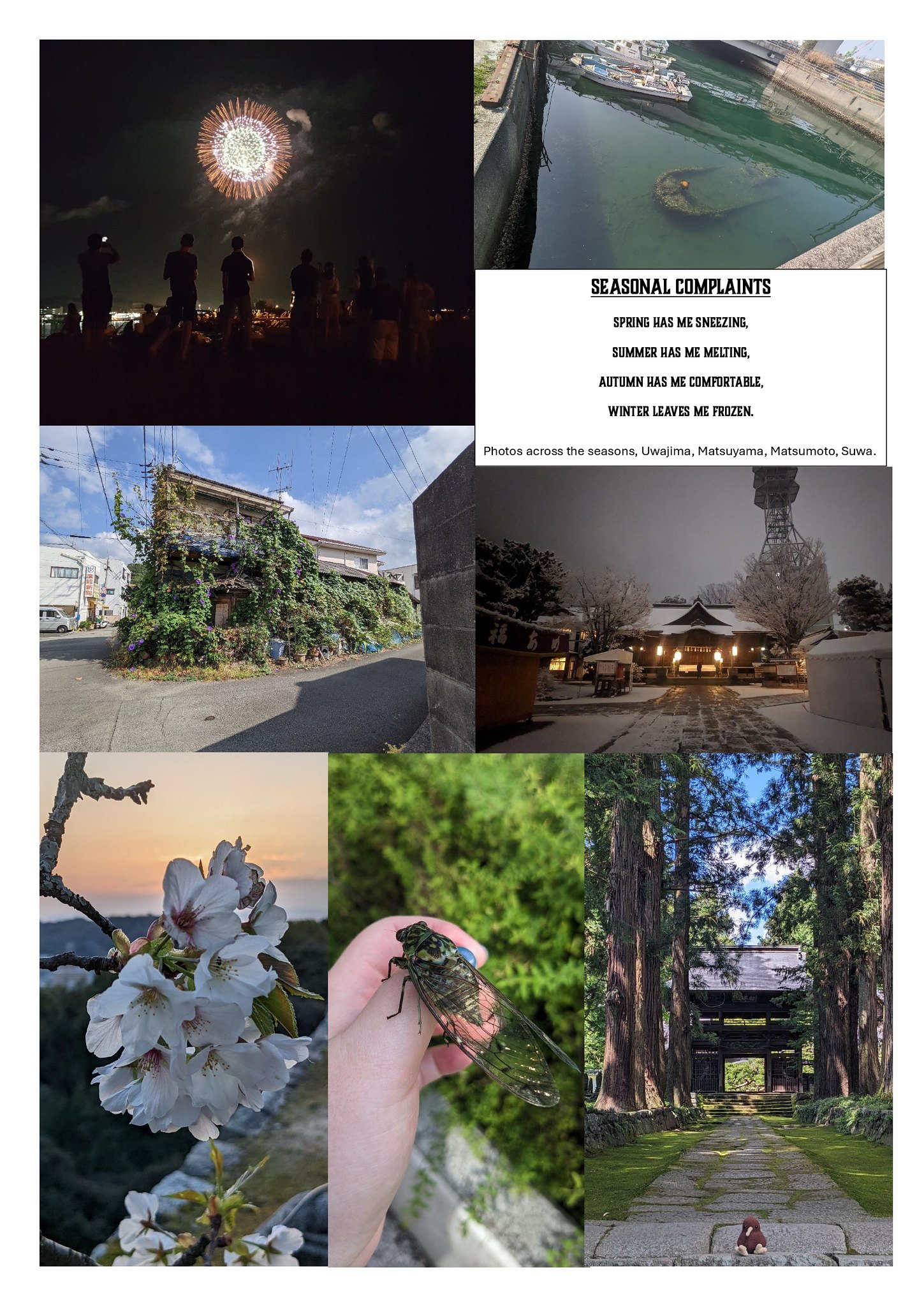 54393724906_bb47d4fa2a_k