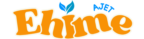 Ehime AJET